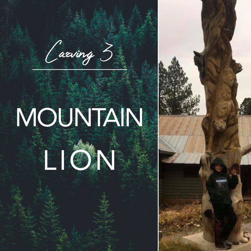 Carving 3: Mountain Lion