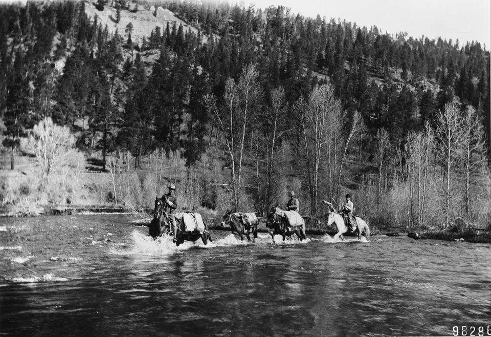 Forest Service rangers on horseback fording Vallecito Creek in 1911