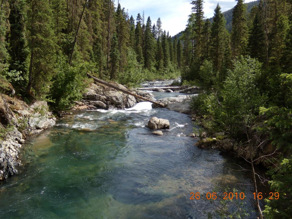 The first footbridge on the Vallecito Creek Trail above the lake