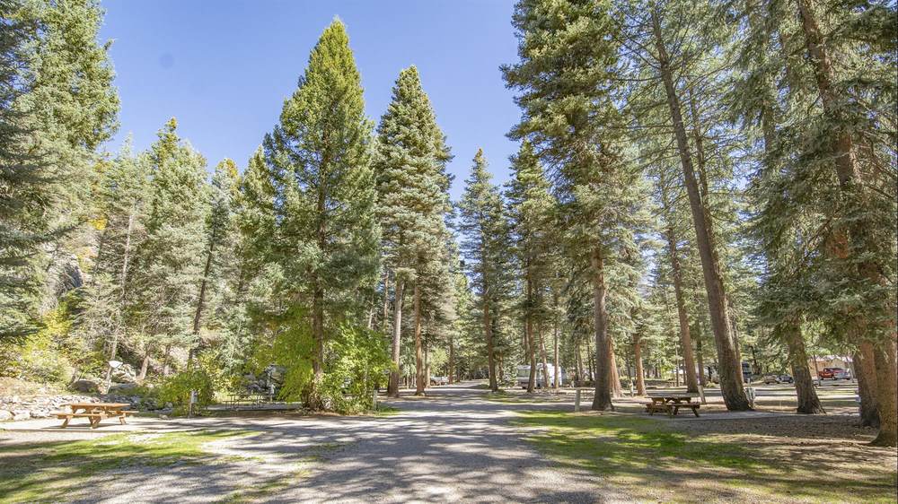 Blue Spruce RV Park & Cabins — wooded sites near Vallecito Lake