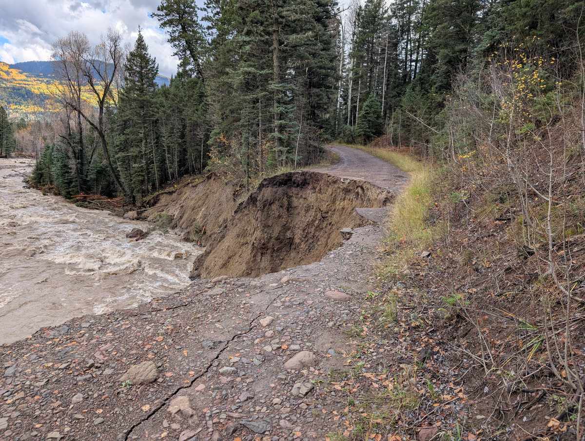 A gravel forest road cut through by floodwater, a large section washed away into a fast, muddy river below, with evergreen forest and autumn aspen on the slope beyond.