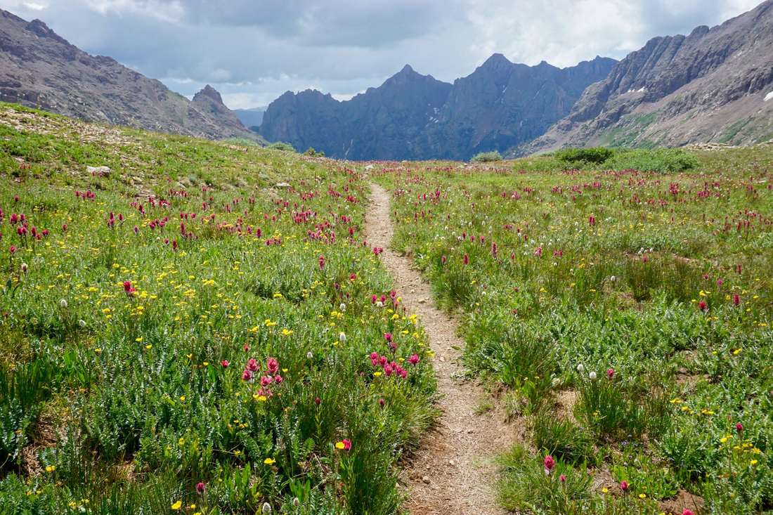 A footpath through a meadow of red paintbrush and yellow wildflowers below jagged peaks on the Johnson Creek Trail