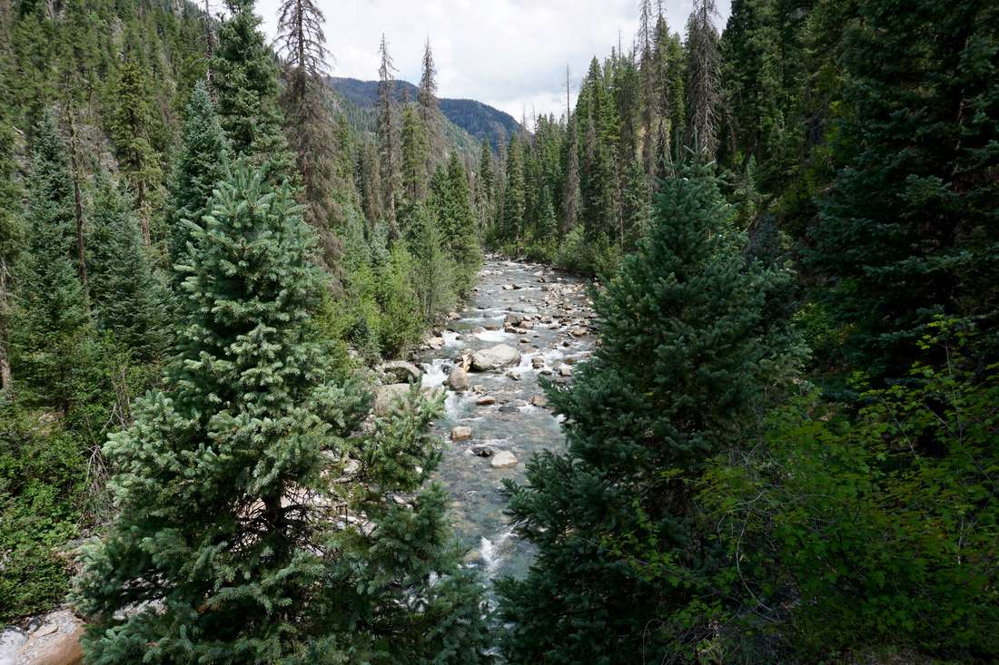 Vallecito Creek running clear over boulders through dense spruce and fir below the #529 trail