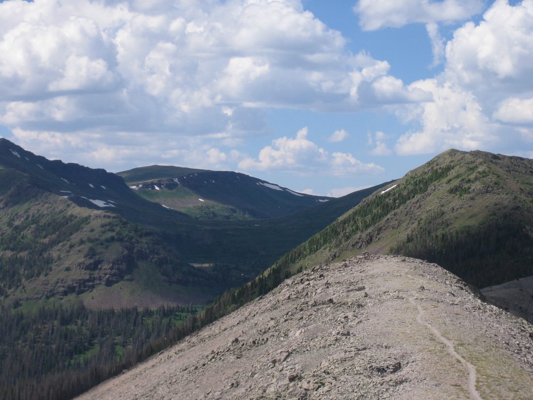 The Continental Divide Trail through the Weminuche Wilderness above Vallecito