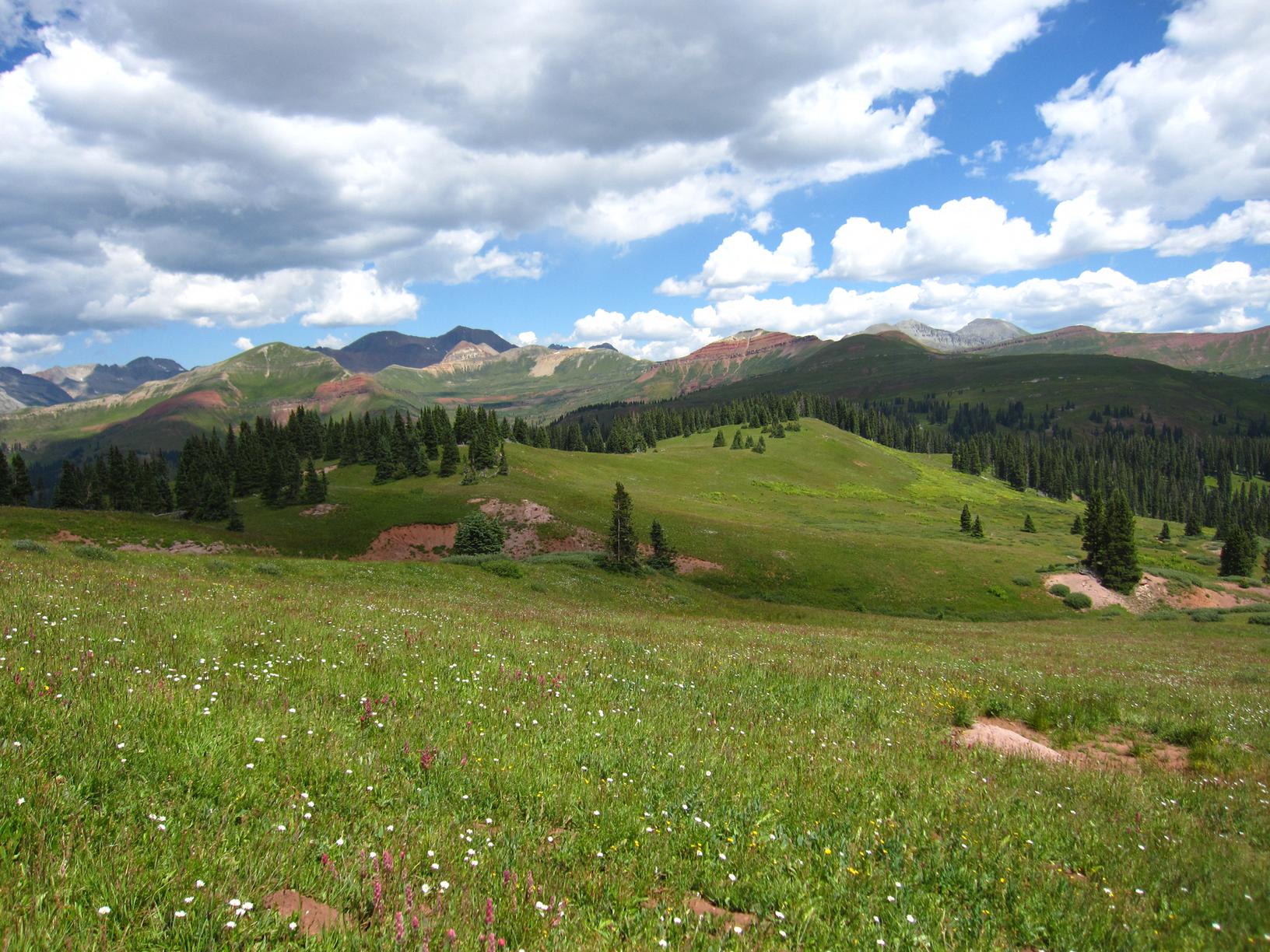 An alpine wildflower meadow below red-streaked peaks near Jura Knob in the San Juan Mountains