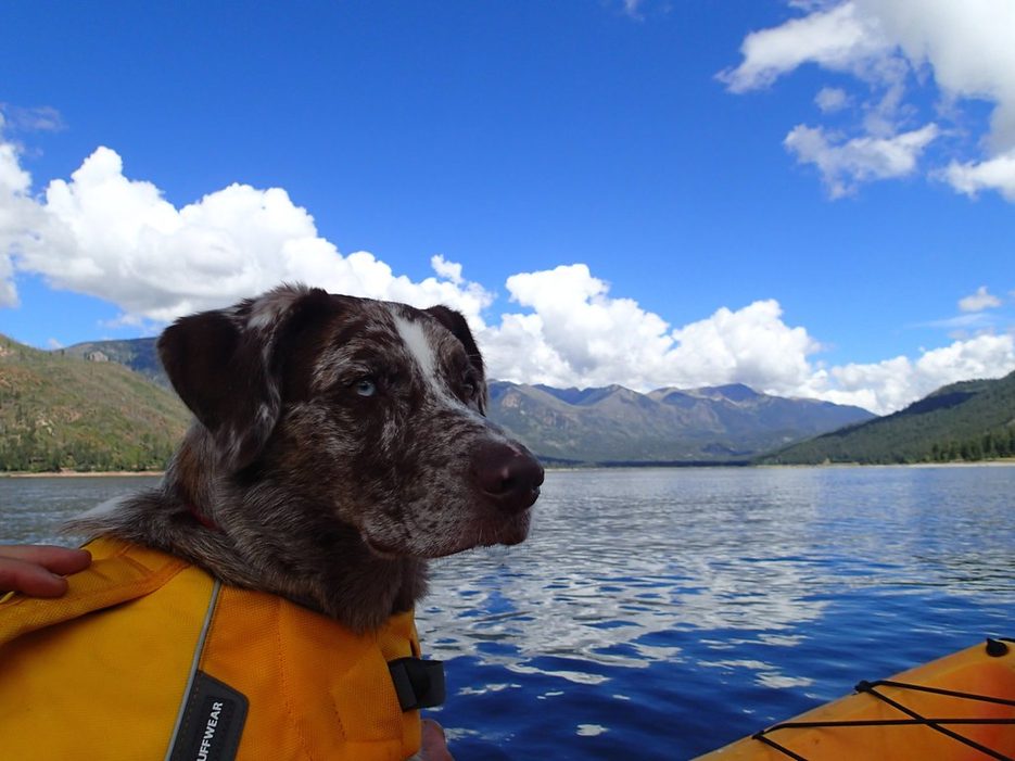 A paddler kayaking on the calm open water of Vallecito Reservoir