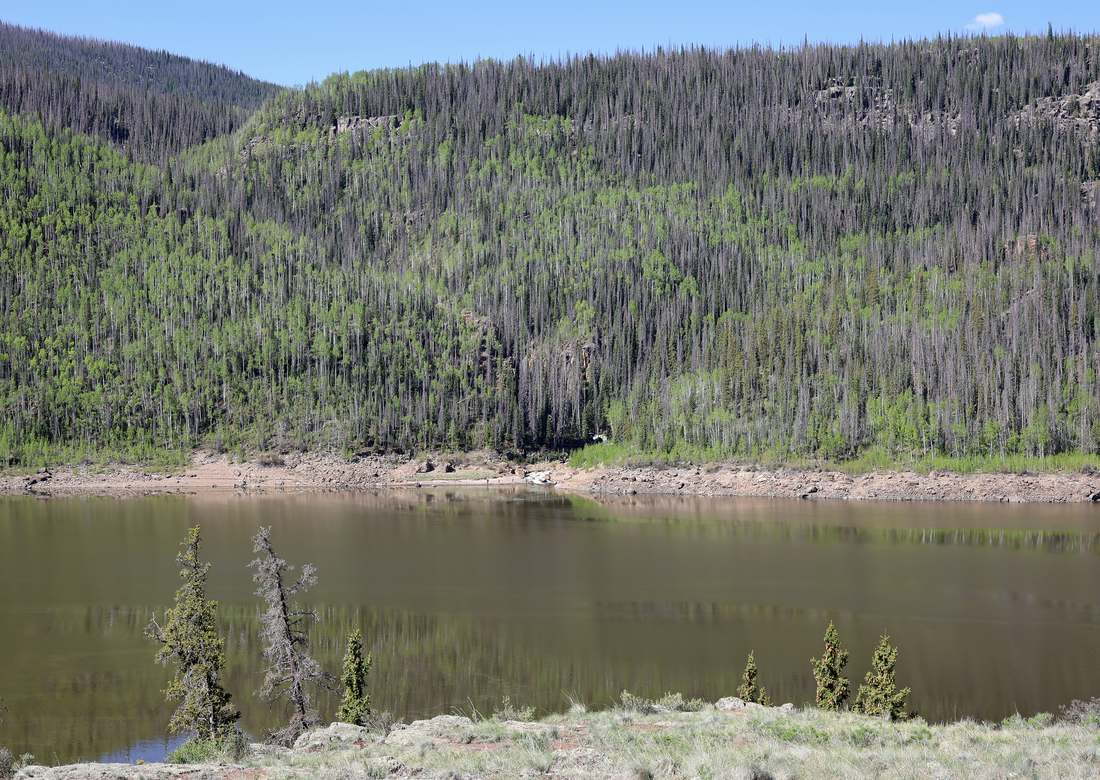 Clear water where Weminuche Creek meets the river above the lake
