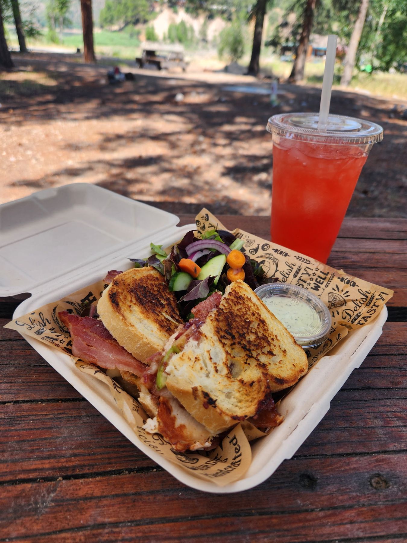 A grilled melt with a house salad and a red Cherry Splash soda on a picnic table at the lake